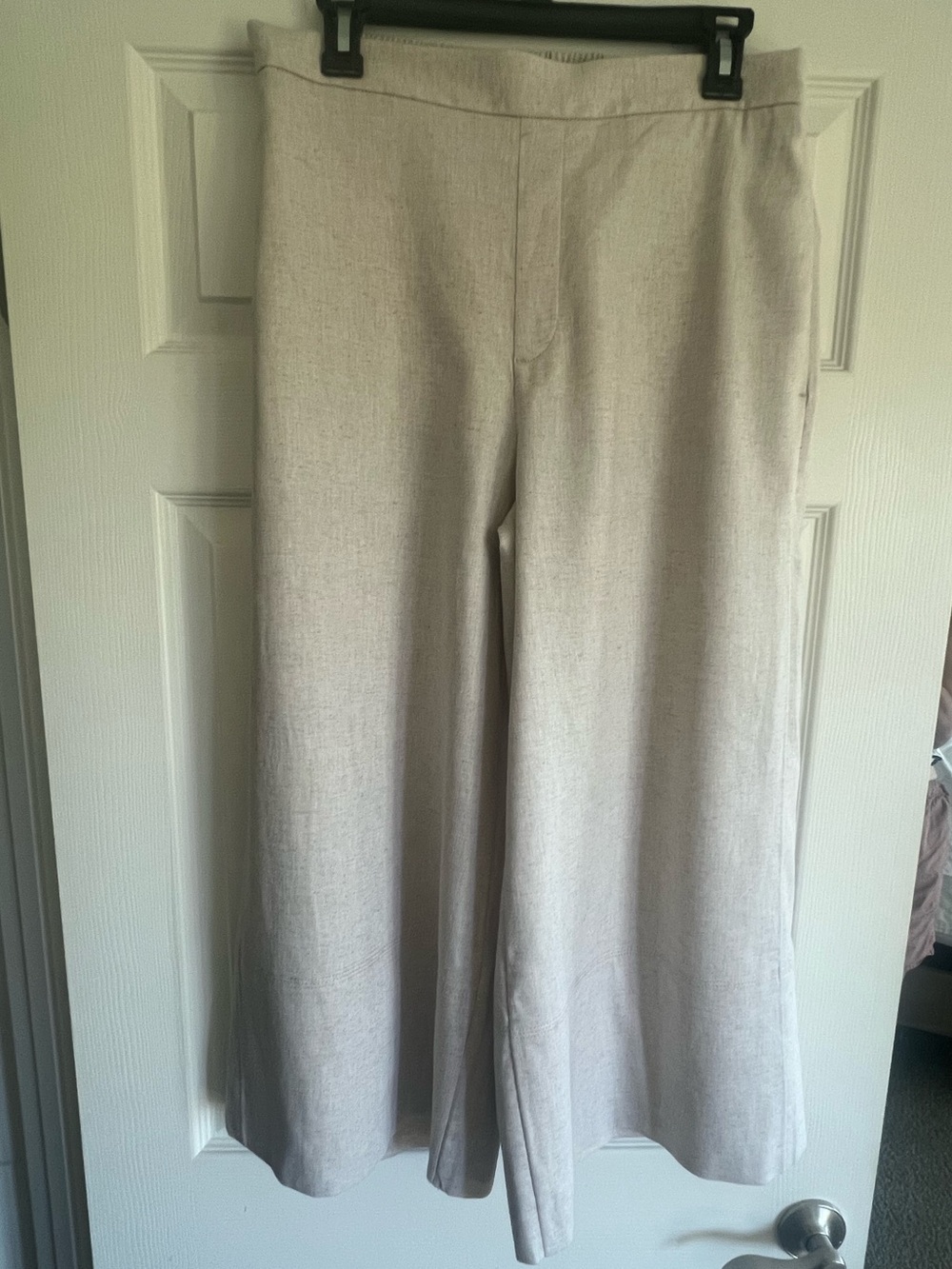 Banana Republic Wide-Leg Chinos in Light Taupe